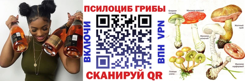 наркошоп  Альметьевск  гидра зеркало  Псилоцибиновые грибы мицелий 
